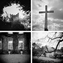 Holga